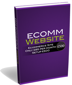 e-commerse websites