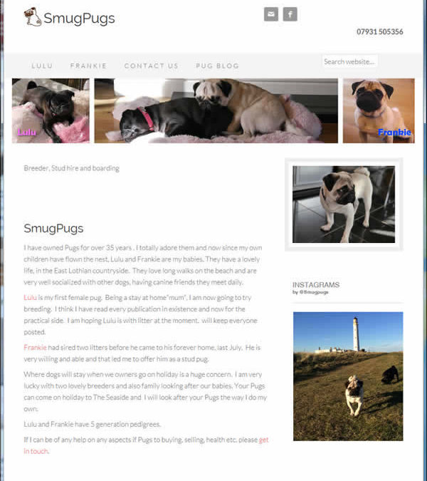 SmugPugs Web Design